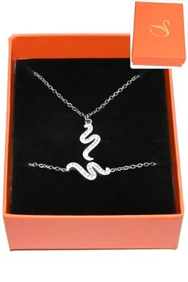 Coffret serpent bijoux collection hervé aliex Argent