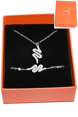 Coffret serpent bijoux collection hervé aliex Argent