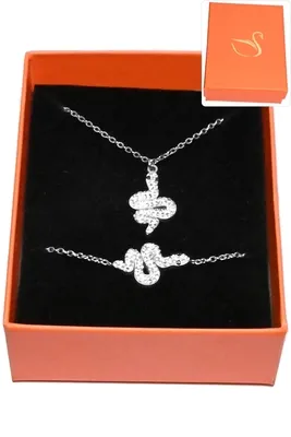 Coffret serpent bijoux collection hervé aliex Argent