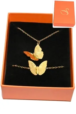 Coffret papillon parure bijoux collection hervé aliex Or