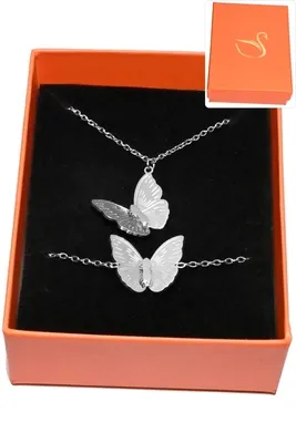 Coffret papillon parure bijoux collection hervé aliex Argent