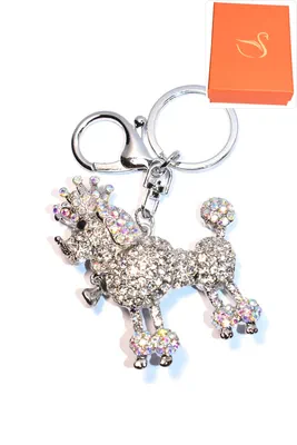 porte-cle Coffret cadeaux chien Argent