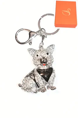 porte-cle Coffret cadeaux chien Argent