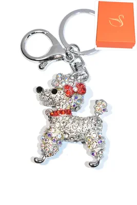 porte-cle Coffret cadeaux chien Argent