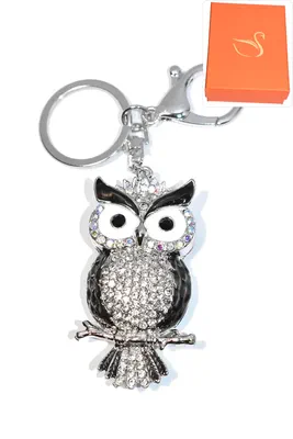 porte-cle Coffret cadeaux hibou chouette Argent
