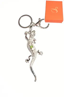 porte-cle Coffret cadeaux salamandre Argent
