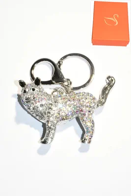 porte-cle Coffret cadeaux chien Argent