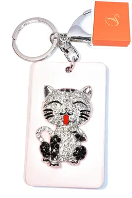 porte-cle Coffret cadeaux chat Argent