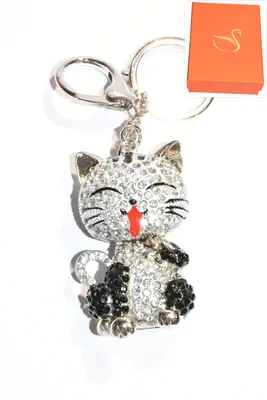 porte-cle Coffret cadeaux chat Argent