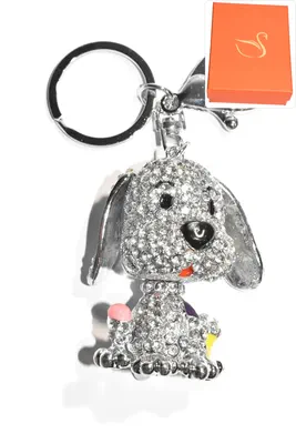 porte-cle Coffret cadeaux chien Argent