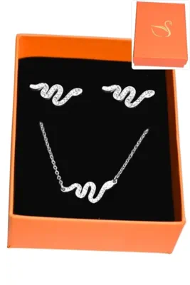 Coffret serpent bijoux collection hervé aliex Argent