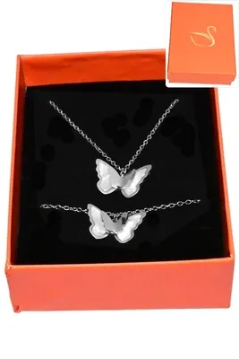 Coffret papillon parure bijoux collection hervé aliex Argent