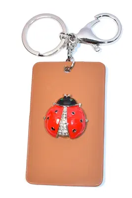 porte-cle coccinelle Argent 674E05 