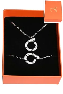 Coffret serpent parure bijoux collection hervé aliex Argent
