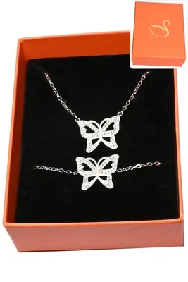 Coffret papillon parure bijoux collection hervé aliex Argent