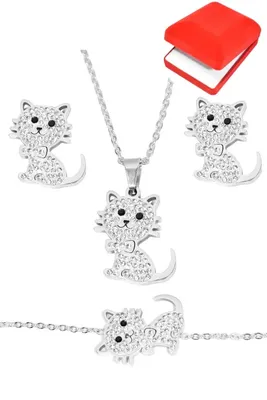 Coffret chat Argent BA5925 